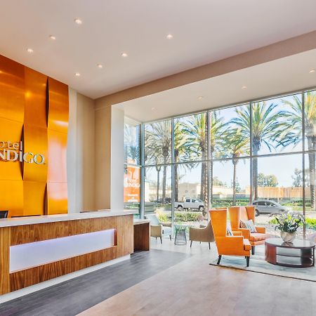Hotel Indigo Anaheim By Ihg Buitenkant foto
